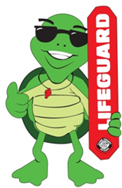 CC Aquatics Tommy the Turtle
